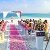 One Twenty Wedding Photography avatar